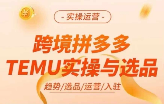 跨境拼多多TEMU实操与选品，多多temu跨境选品运营实操-氚客吧