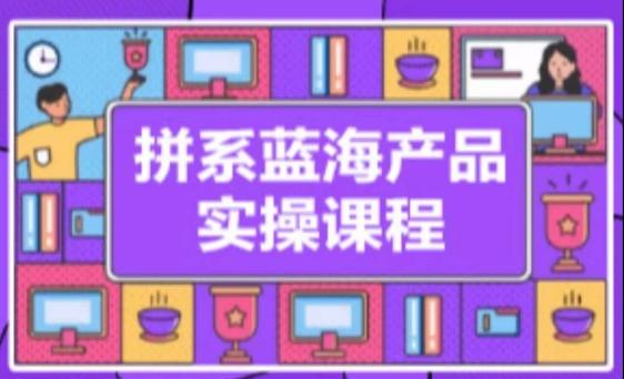 拼系冷门蓝海产品实操课程，从注册店铺到选品上架到流量维护环环相扣-氚客吧