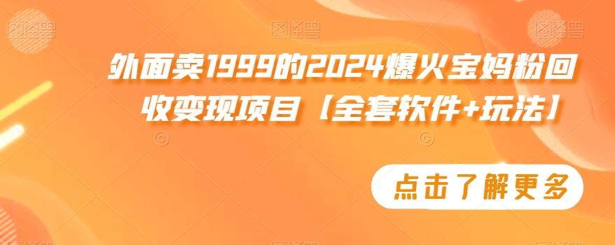 外面卖1999的2024爆火宝妈粉回收变现项目【全套软件+玩法】【揭秘】-氚客吧