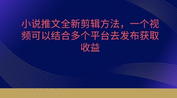 小说推文全新剪辑方法，一个视频可以结合多个平台去发布获取【揭秘】-氚客吧