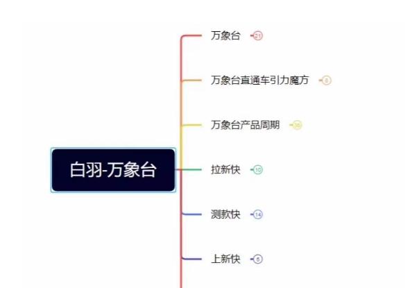 白羽·直引万搜索全篇，从0-1，多个类目实操经验总结付费-氚客吧