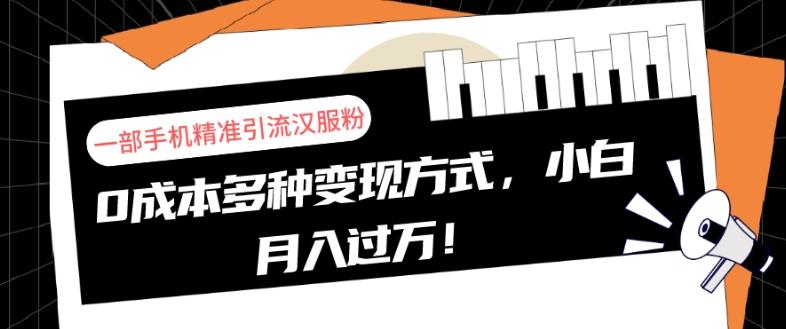 一部手机精准引流汉服粉，0成本多种变现方式，小白月入过万！-氚客吧