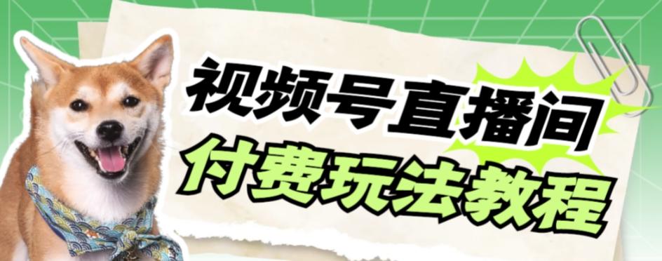 视频号美女付费无人直播，轻松日入500+【详细玩法教程】-氚客吧