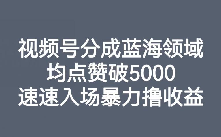 视频号分成蓝海领域，均点赞破5000，速速入场暴力撸收益-氚客吧