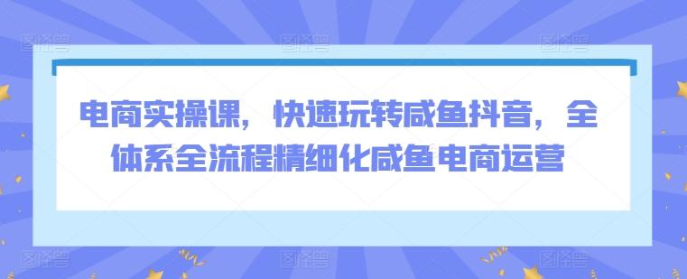 电商实操课，快速玩转咸鱼抖音，全体系全流程精细化咸鱼电商运营-氚客吧