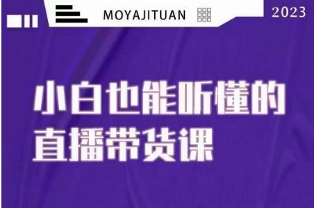 大威本威·能听懂的直播带货课，小白也能听懂，20节完整-氚客吧