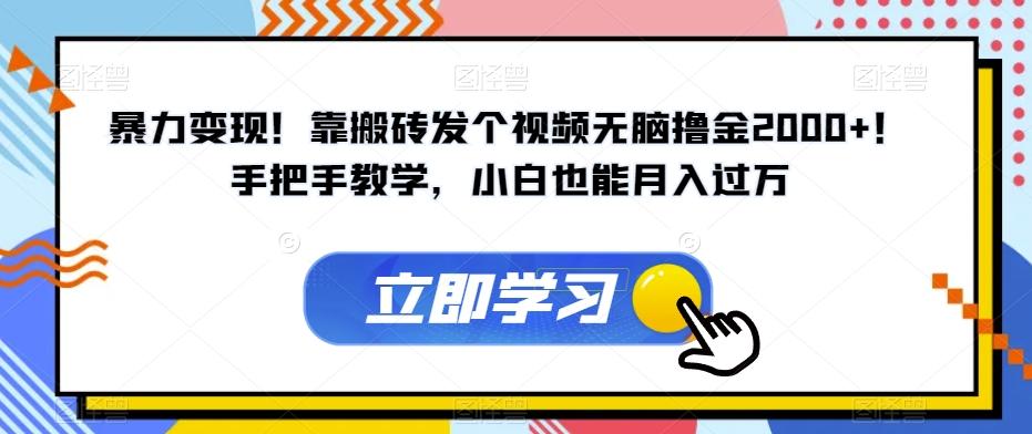 暴力变现！靠搬砖发个视频无脑撸金2000+！手把手教学，小白也能月入过万【揭秘】-氚客吧