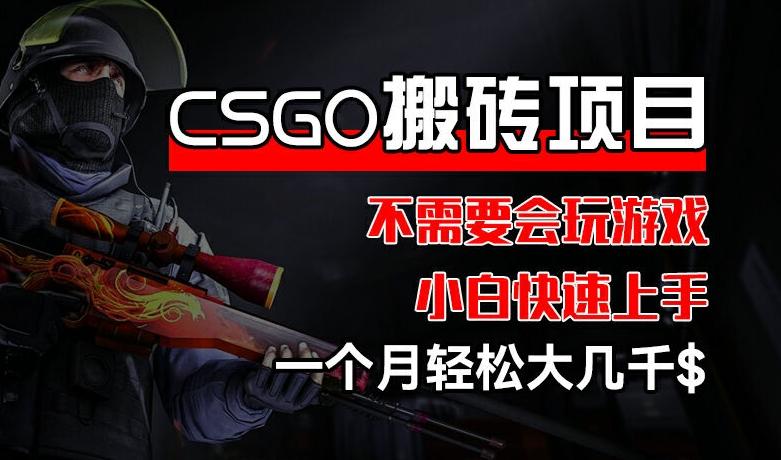 CSGO 装备搬砖项目，操作简单，不需要会玩游戏，小白也能快速上手，一个月轻松大几千【揭秘】-氚客吧