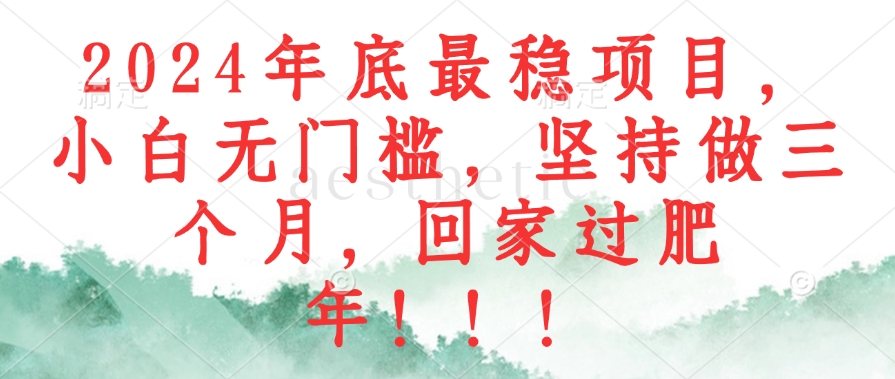 2024年底最稳项目，小白无门槛，坚持做三个月，回家过肥年！！！-氚客吧