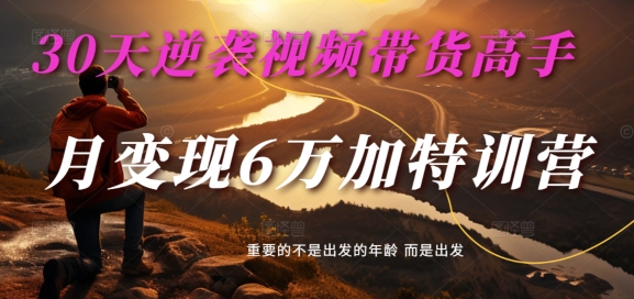 30天逆袭视频带货高手，单月变现6万加特训营-麦子甜-氚客吧