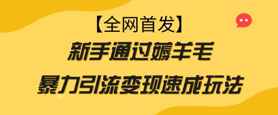【全网首发】新手通过薅羊毛暴力引流变现速成玩法-氚客吧