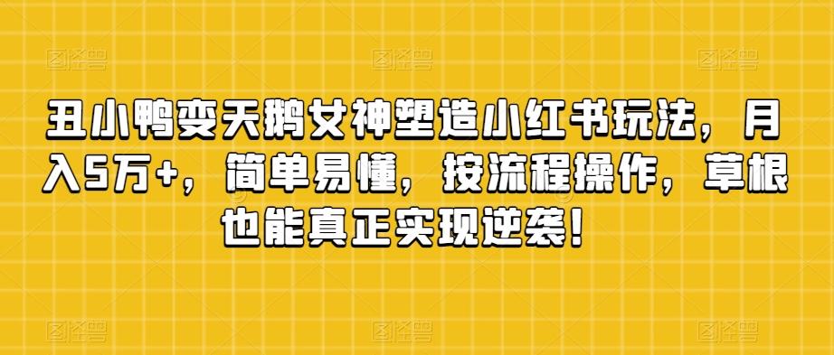 丑小鸭变天鹅女神塑造小红书玩法，月入5万+，简单易懂，按流程操作，草根也能真正实现逆袭！-氚客吧