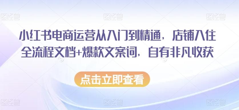 小红书电商运营从入门到精通，店铺入住全流程文档+爆款文案词，自有非凡收获-氚客吧