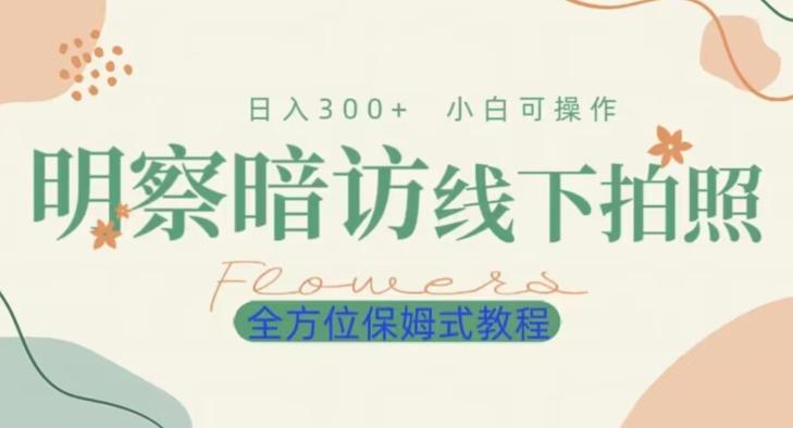 明拍暗拍项目0成本投入日入300+小白可操作保姆式全方位教程-氚客吧
