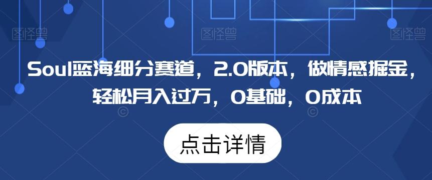 Soul蓝海细分赛道，2.0版本，做情感掘金，轻松月入过万，0基础，0成本-氚客吧