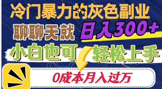 冷门暴利的副业项目，聊聊天就能日入300+，0成本月入过万【揭秘】-氚客吧