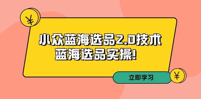 拼多多培训第33期：小众蓝海选品2.0技术-蓝海选品实操！-氚客吧