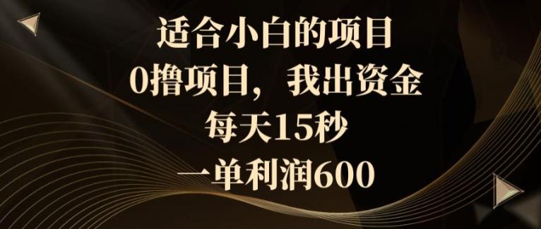 适合小白的项目，0撸项目，我出资金，每天15秒，一单利润600-氚客吧