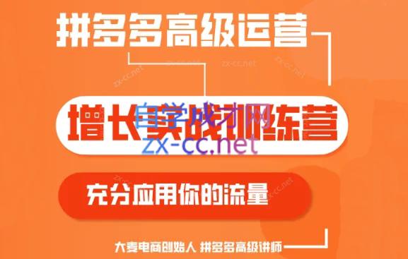 大麦老师·拼多多单品爆款打造课程(更新6月)-氚客吧