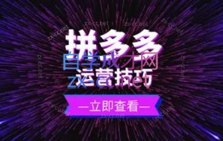 力辛电商·拼多多强付费店群玩法-氚客吧