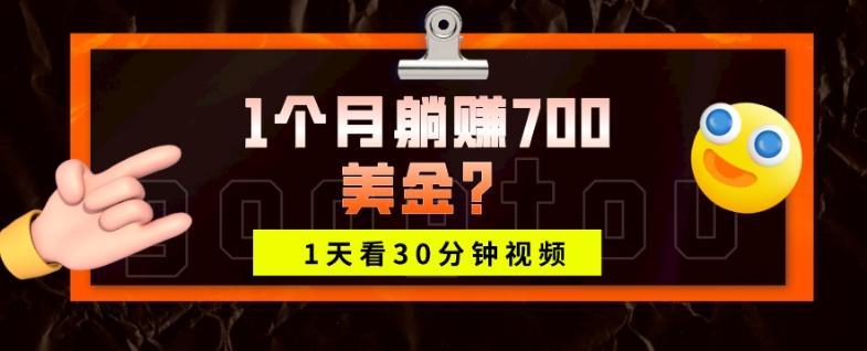 1天看30分钟视频，1个月躺赚700美金？-氚客吧