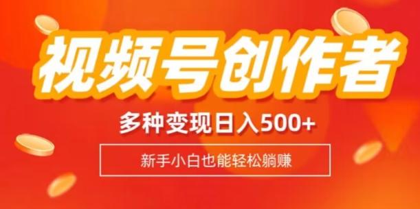 视频号创作者计划，多种变现方式，日入500+【内附1080g视频素材】-氚客吧