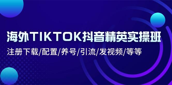 海外TIKTOK抖音精英实操班：注册下载/配置/养号/引流/发视频/等等-氚客吧