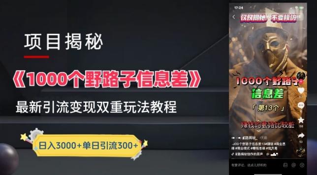 一千个野路子信息差最新玩法教程-变现+引流的玩法具体拆解【揭秘】-氚客吧