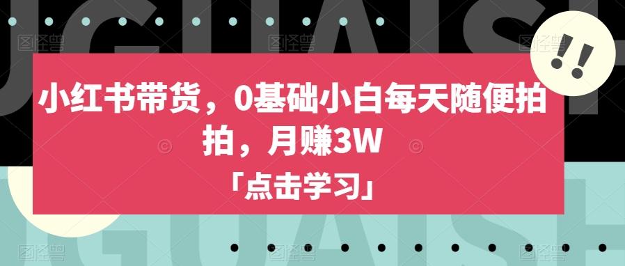 小红书带货，0基础小白每天随便拍拍，月赚3W【揭秘】-氚客吧