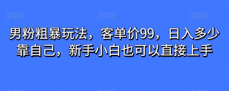 男粉粗暴玩法，客单价99，日入多少靠自己，新手小白也可以直接上手-氚客吧