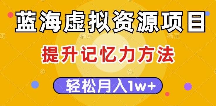 蓝海虚拟资源项目，提升记忆力方法，多种变现方式，轻松月入1w+【揭秘】-氚客吧