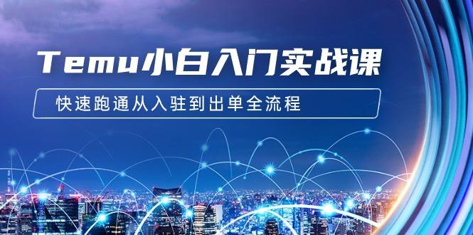 (9295期)Temu小白入门实战课：跨境拼多多电商培训 快速跑通从入驻到出单全流程-12节-氚客吧