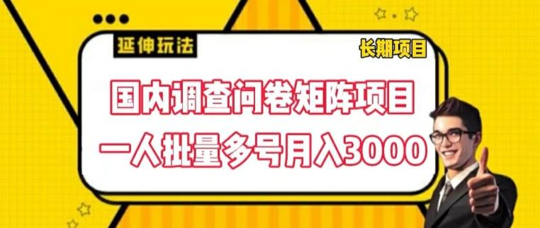 国内调查问卷矩阵项目，一人批量多号月入3000【揭秘】-氚客吧