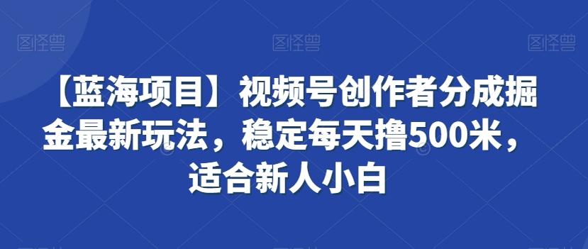 【蓝海项目】视频号创作者分成掘金最新玩法，稳定每天撸500米，适合新人小白【揭秘】-氚客吧