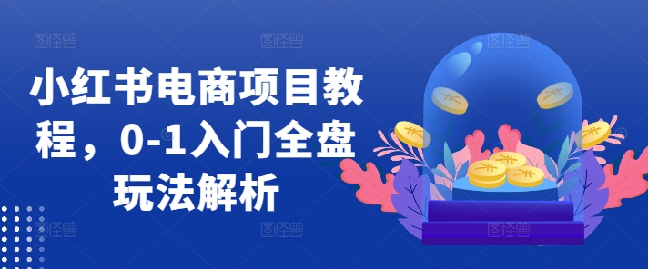 小红书电商项目教程，0-1入门全盘玩法解析-氚客吧