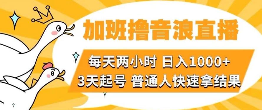 加班撸音浪直播，每天两小时，日入1000+，直播话术才3句，3天起号，普通人快速拿结果【揭秘】-氚客吧