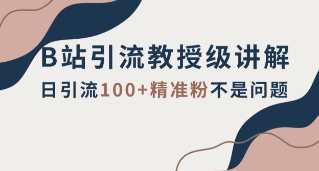 B站引流教授级讲解，细节满满，日引流100+精准粉不是问题【揭秘】-氚客吧