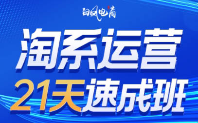 淘系运营21天速成班(更新9月)-氚客吧