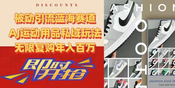 被动引流蓝海赛道，AJ运动用品私域玩法，无限复购年入百万【揭秘】-氚客吧