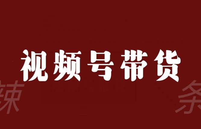 视频号带货联盟，赚信息差的带货钱，只需手机随时随地都可以做！-氚客吧