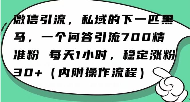 怎么搞精准创业粉？微信新赛道，每天一小时，利用Ai一个问答日引100精准粉-氚客吧