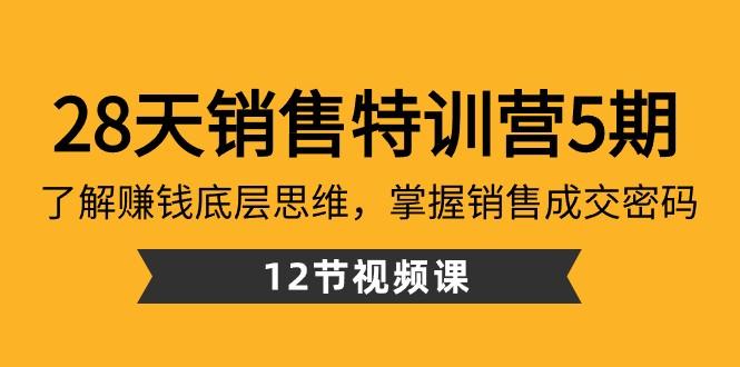 28天销售特训营5期：了解赚钱底层思维，掌握销售成交密码（12节课）-氚客吧