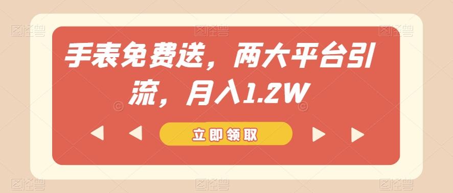 手表免费送，两大平台引流，月入1.2W【揭秘】-氚客吧