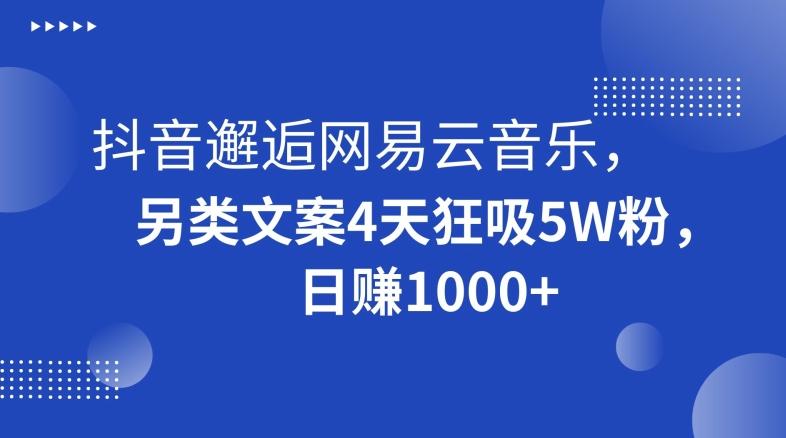 抖音邂逅网易云音乐，另类文案4天狂吸5W粉，日赚1000+【揭秘】-氚客吧