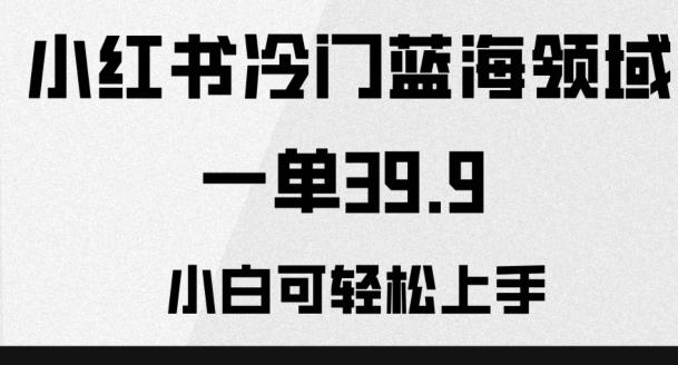 小红书冷门蓝海领域，一单39.9，小白可轻松上手-氚客吧