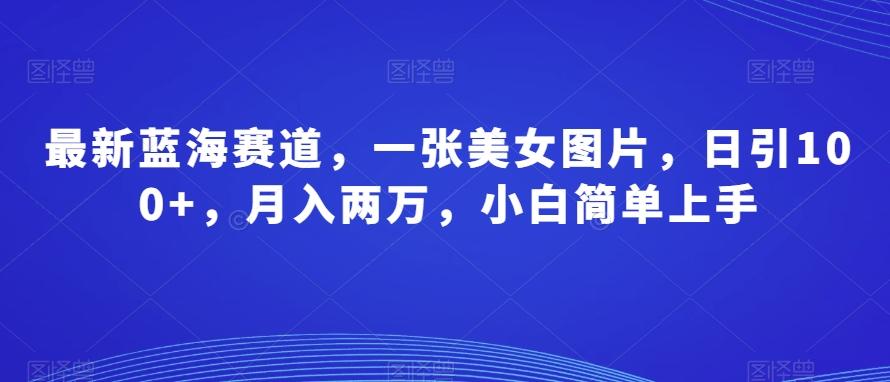 最新蓝海赛道，一张美女图片，日引100+，月入两万，小白简单上手-氚客吧