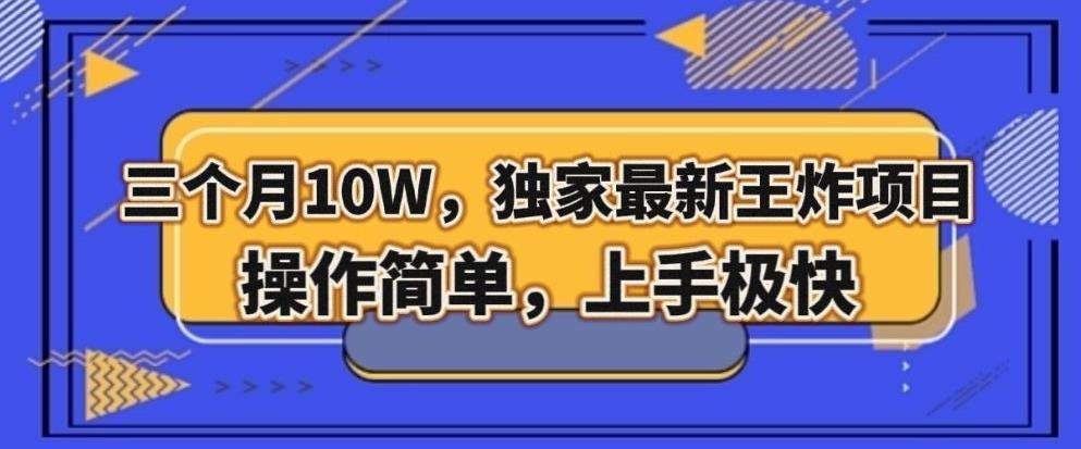 三个月10W，独家最新王炸项目！操作简单，上手极快【揭秘】-氚客吧