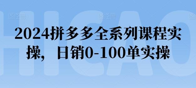 2024拼多多全系列课程实操，日销0-100单实操【必看】-氚客吧