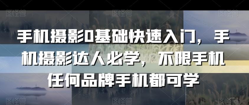 手机摄影0基础快速入门，手机摄影达人必学，不限手机任何品牌手机都可学-氚客吧