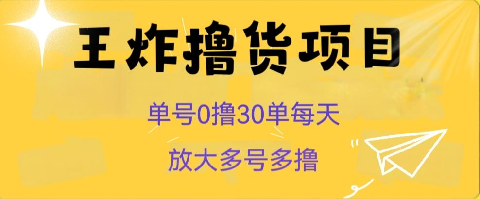王炸撸货项目，单号0撸30单每天，多号多撸【揭秘】-氚客吧